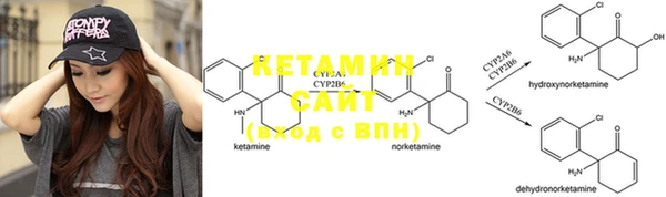 трава Балахна