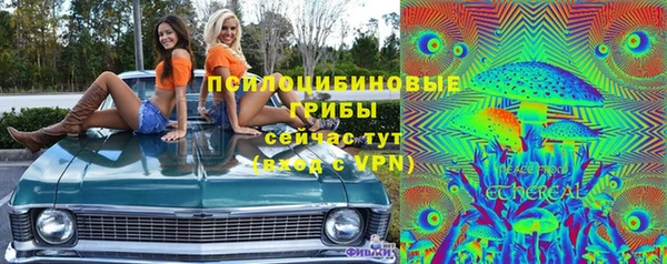 трава Балахна