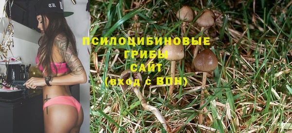 трава Балахна