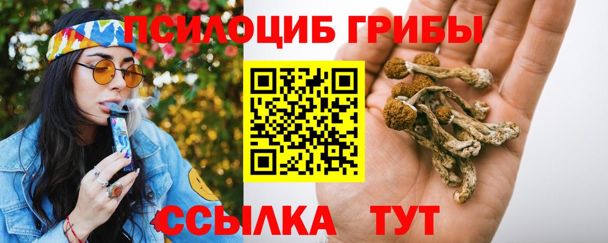 Галлюциногенные грибы Psilocybe  Галлюциногенные грибы мухоморы  Барабинск  наркота  Вход с VPN 