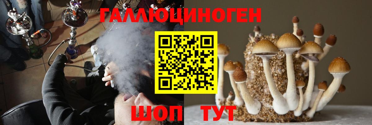 Галлюциногенные грибы Cubensis Барабинск
